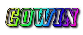 GOWIN GOWIN